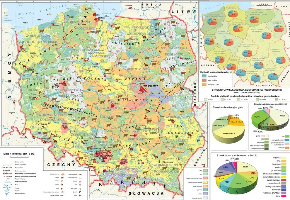 Rolnictwo w Polsce - mapa